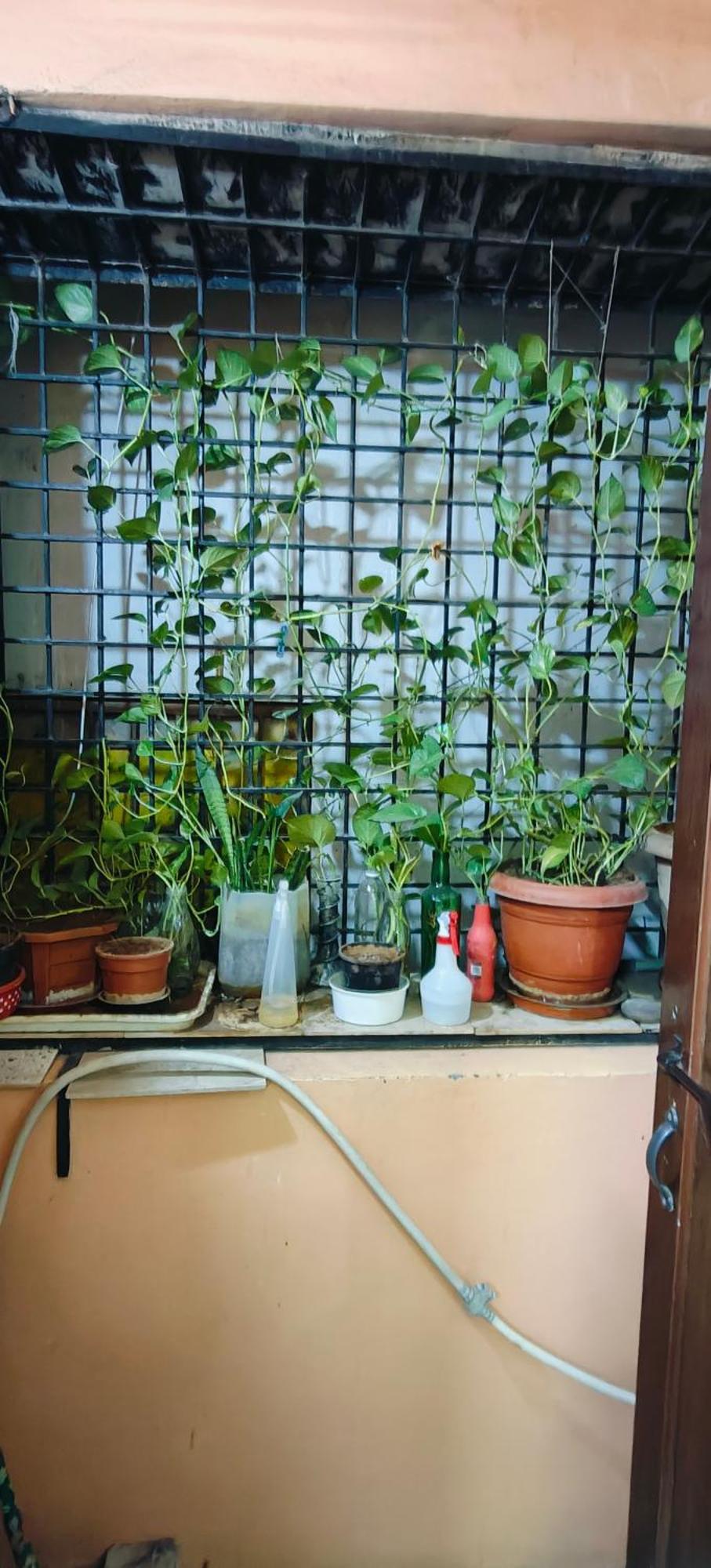 Ferienwohnung Rani'S Nest Hyderabad Exterior foto